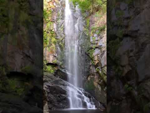 #waterfall #nature#water #relaxing