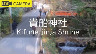 【LIVE】京都 貴船神社ライブ中継カメラ／Kifune-jinja Shrine, Kyoto Live camera