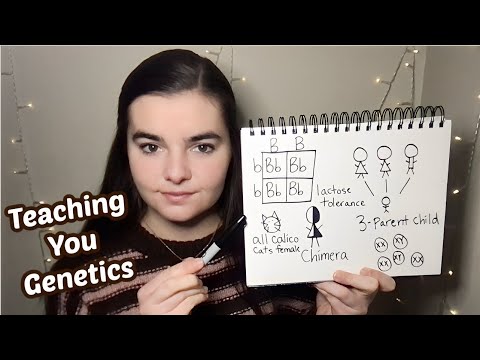 ASMR Teaching You Genetics! | Explaining 12 Crazy Facts