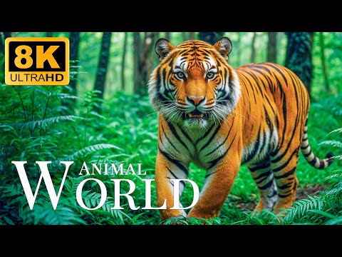 Animal World 8K ULTRA HD🐾Amazing Animal Facts With Relaxing Sounds