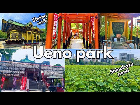 Ueno Park Things to do || Shrines, Museums, Shinobazu pond