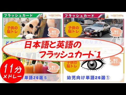 Flashcards Japanese and English Medley Mix1 Working Cars for Babies and Kids Animals