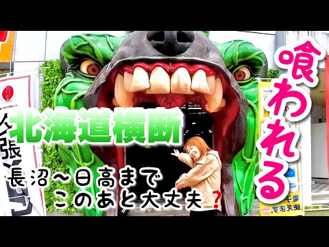 北海道横断の旅400キロ【マオイの丘公園〜夕張メロード〜樹海ロード日高】