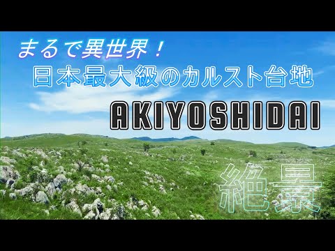 【秋吉台】まるで異世界！日本最大級のカルスト台地が絶景すぎた！