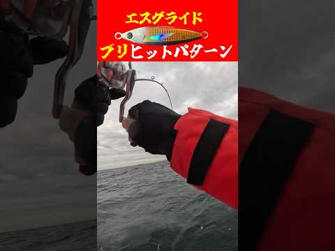 浅場の鰤ヒットパターン‼️【伊勢湾ジギング】@ALUREFC