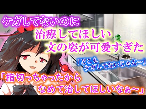 [ゆっくり茶番劇]ケガしてないのに文は僕に何かしらの治療をしてもらいたいようです