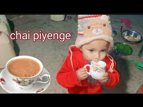 आज मुझे चाय नहीं पीने नही दिया | how to chai vlog @RangilaFamilyVlogs