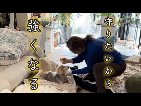 愛犬を相次いで逝かせはしない／付ききりで過ごすある日の日常