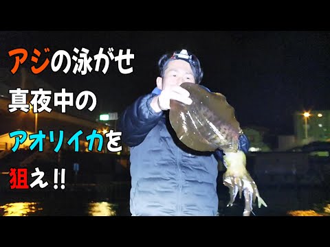 ウキ釣りアオリイカ！真夜中の漁港で大惨事‼