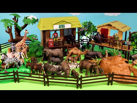 Fun Young and Big Animal Figurines on Animal Shelter Set