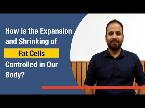 How is the Expansion and Shrinking of Fat Cells Controlled in Our Body?