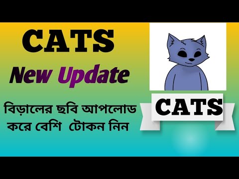 Cats Photo Upload  New  Update | Cat New Update  | Cats Airdrop