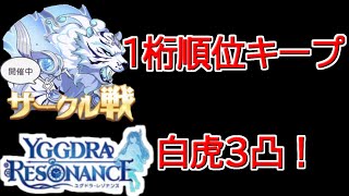 【ユグレゾ】サークル戦諸事情により白虎しか殴れません【ユグドラレゾナンス】