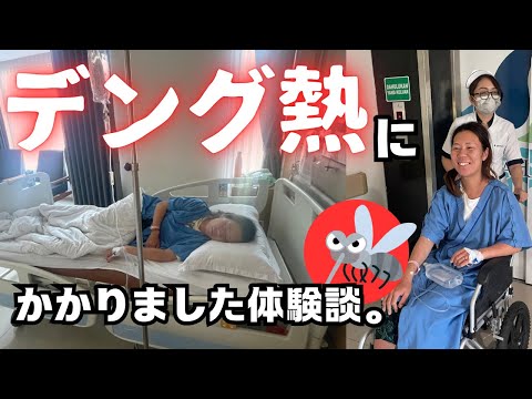 【バリ島デング熱】デング熱の体験談