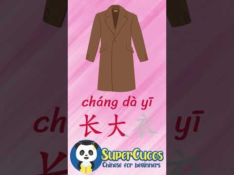 学中文- 长大衣 | Learn Chinese - COAT | Aprender Chino - ABRIGO #Shorts