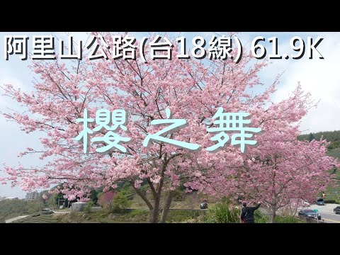 阿里山櫻花 2021【櫻之舞】-  Music : Over the Horizon (2019 Version)