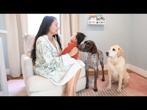 Life with a new born baby and two dogs | Morning Routine