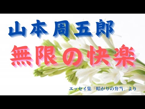 【隠れた名作　朗読】 92　山本周五郎「無限の快楽」