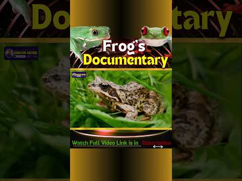 Watch Full Video on Frog's Life Documentary | Creative Nature #frog #amphibians #aquatic