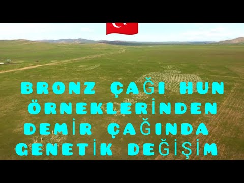 Bronz Çağı Xiongnu DNA Sonuçları İle Demir Çağı  Arasında Genetik Değişim