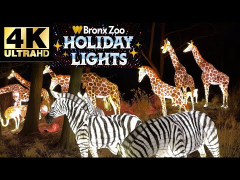 Full show! Amazing lights. Christmas only! New York Bronx Zoo Holiday Lights 2023