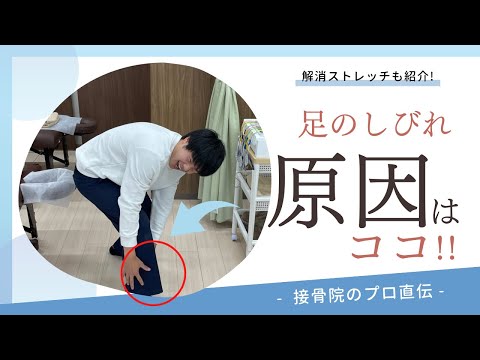 【足のシビレの治し方】指先がシビレる、つま先の感覚が違う、時には痛みが走るなどの症状がある方へのストレッチ！｜接骨院のプロが教えるお家セルフケア｜テラピスト接骨院