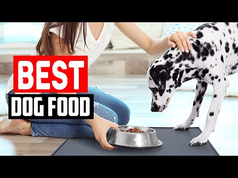 Top 5 Best Dog Food Mat For Messy Eaters in 2023