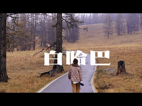 我的阿勒泰：白哈巴和小动物在一起｜边境线上山居两夜