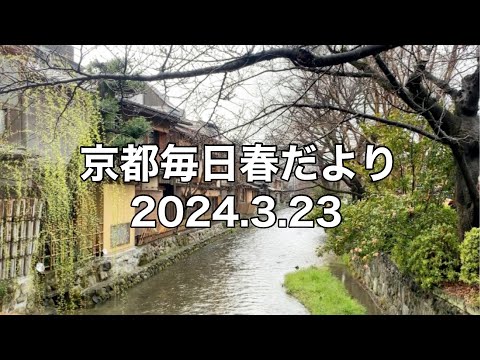 【2024.3.23】京都春の訪れを毎日更新中