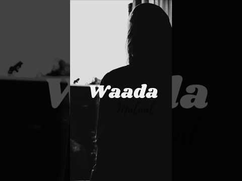 Waada Hindi Shayari #shayari #shortsvideos #viralvideo