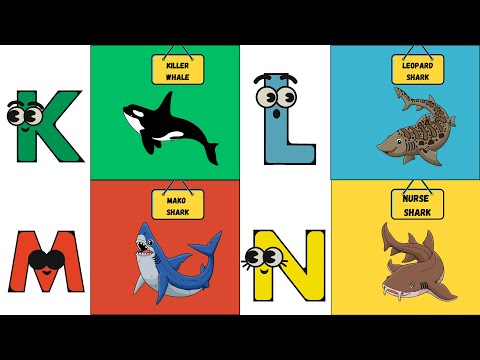 A to Z Ocean Creatures Song 🌊 | Fun Underwater ABCs for Kids | UZR Learning | #abcd #kids