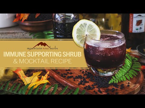 Immune Supporting Shrub & Mocktail Recipe