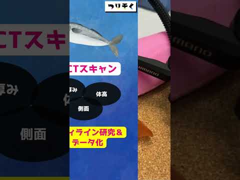 【爆誕】大型アジをCTスキャンして研究！「ライトグリッパー」