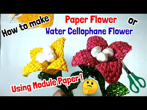 How to make Paper Flower/ Water Cellophane Flower by Anak Bukid