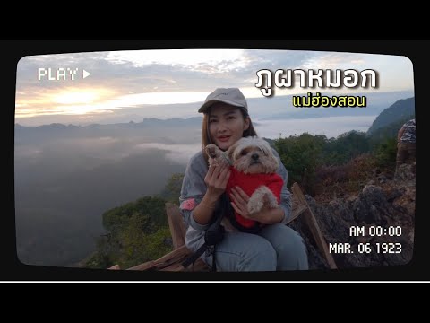 แบกหมาขึ้นภูผาหมอก ⛰️ บ้านจ่าโบ่ ปางมะผ้า แม่ฮ่องสอน #แม่ฮ่องสอน  #บ้านจ่าโบ่ #แบกหมาเที่ยว