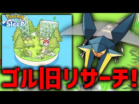 新フィールド『ゴールド旧発電所』で最強クワガノンゲットする！【ポケモンスリープ】