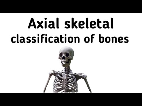 Axial Skeleton and Classification Of Bones