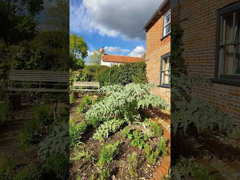 What a beautiful day to spend in the garden! #springgarden #gardeninspiration #garden #herbgarden