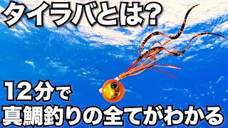 保存版タイラバとは？12分で真鯛釣りの基本まとめ！真鯛の釣り方と生態の超入門！