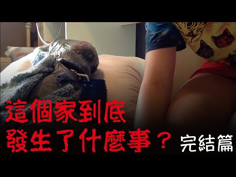 怪物寶寶Alan如何一步步成為了Daisy的惡夢——看不懂是爛作，看懂了就是神作（完結篇）