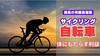 【サイクリング】自転車による運動が私たちの脳と体に与える良い影響について【徹底解説】します