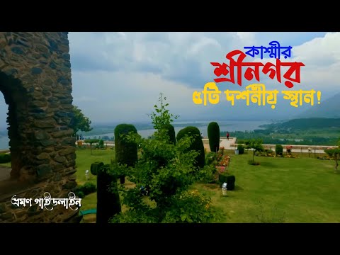 কাশ্মীরের শ্রীনগরে ঘুরে বেড়ানোর উপায় | Srinagar Tour 2024