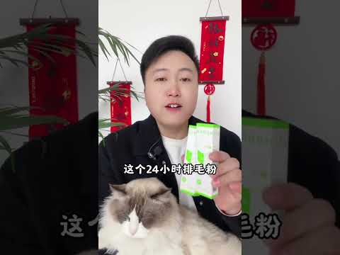 白酒喂猫，烦恼全消。科学养宠攻略 养猫经验分享 养猫人 排毛粉 新手养猫