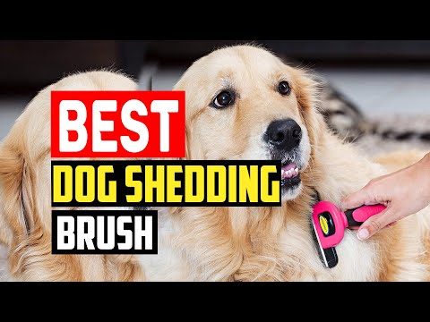 ✅ Top 5 Best Dog Shedding Brush for Your Pooch in 2023