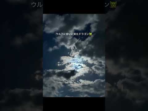 ウルフムーンのお月見に現れた龍神様🐉 #moon #shortvideo #shorts #short #龍雲 #龍神様