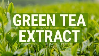 What is Green Tea Extract?