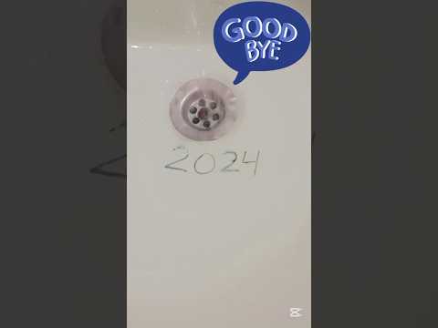 Good Bye 2024#goodbye2024 #shorts