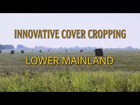 Innovative Cover Cropping in BC - Lower Mainland