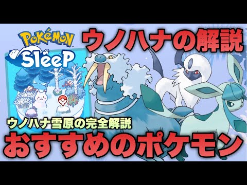 【初心者必見】ウノハナ雪原のオススメのポケモンと考え方の解説【ポケモンスリープ/安心院幽】