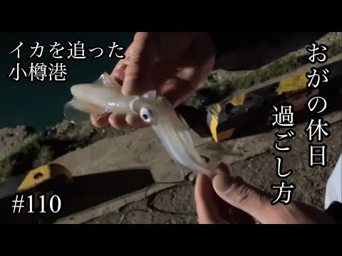 オガの休日過ごし方#110イカを追った小樽港